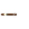 DAVIDOFF-WINSTON CHURCHILL - TORO - 2021-Stick-9766