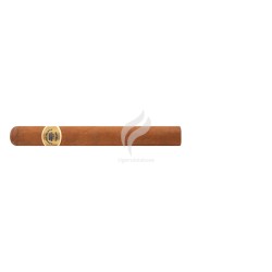 ROMEO y JULIETA-DUKE OF BUCKINGHAM-Stick-9837