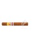 LA GLORIA CUBANA-ALEMARADO - 2020 - PERU-Stick-9844