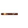 LA GLORIA CUBANA-25 ANIVERSARIO - 2015 - FESTIVAL DEL HABANO-Stick-9867