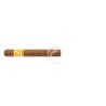 ZINO-NICARAGUA - TORO-Stick-9907