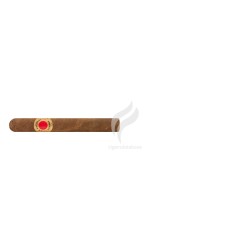 HABANOS-LA NACIONAL TUBO - PRECASTRO-Stick-9945