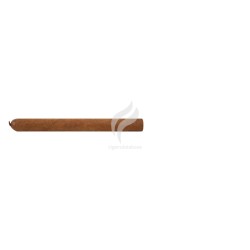 DAVIDOFF-CUBA - NO. 2-Stick-9947