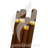 SAMPLER-C SAMPLER COHIBA CLASSIC-Box-9989