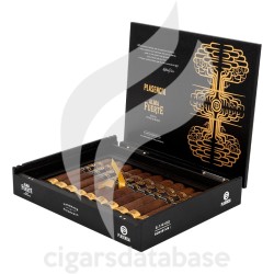 PLASENCIA-ALMA FUERTE - ROBUSTUS I-Box-10015