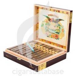 PARADISO-GUAJIRO-Box-10038