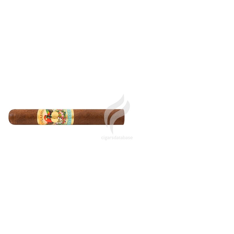 PARADISO-QUINTESSENCE - ROBUSTO-Stick-10039