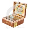 PARADISO-QUINTESSENCE - ROBUSTO-Box-10039