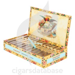 PARADISO-REVELATION - PROPHET-Box-10040