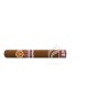 RAMON ALLONES-PHOENICIO 40 - 2019 - LIBANO-Stick-10049