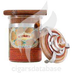 H.UPMANN-NOELLAS JAR - 1960's-Box-10056