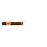 BONGANI-ROBUSTO-Stick-10287
