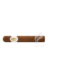 MAESTRANZA-DUQUES-Stick-10325