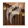 PADRON-PADRON SAMPLER-Box-10354