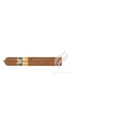 COHIBA-AMBAR-Stick-10357
