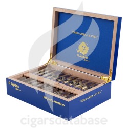 EL SEPTIMO-MICHELANGELO - SACRED ART COLLECTION-Box-10364