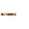 COHIBA-55 ANIVERSARIO - 2021-Stick-10379