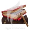 ROMEO y JULIETA-T COLECCION LIBRO RYJ (SET)-Box-10421