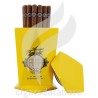 MONTECRISTO-NO.1 JAR - ENCUENTRO DE AMIGOS EN ITALIA - 2022-Box-10466