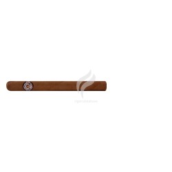 MONTECRISTO-NO.1 JAR - ENCUENTRO DE AMIGOS EN ITALIA - 2022-Stick-10466