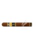 COHIBA-GIFT SET - AMBAR - IDEALES-Stick-10502