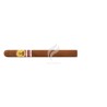 BOLIVAR-DOUBLE CORONA - 2007 - MEDIO ORIENTE-Stick-10574