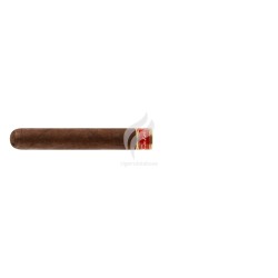 CAIN-F ROBUSTO 550-Stick-10739