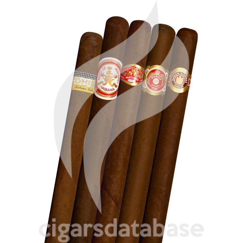 SAMPLER-C SAMPLER BIG 3 (SET)-Box-10824