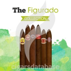 SAMPLER-T NEW FIGURADO COLLECTION (SET)-Box-10864