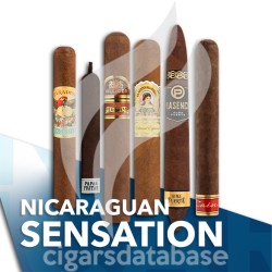 SAMPLER-T NICARAGUAN SENSATION (SET)-Box-10940