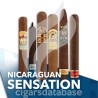 SAMPLER-T NICARAGUAN SENSATION (SET)-Box-10940