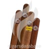 SAMPLER-C SAMPLER MC NEW EDMUNDO	(SET)-Box-10942