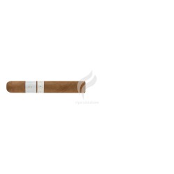 PATORO-TERRE BLANCHE - ROBUSTO-Stick-11011