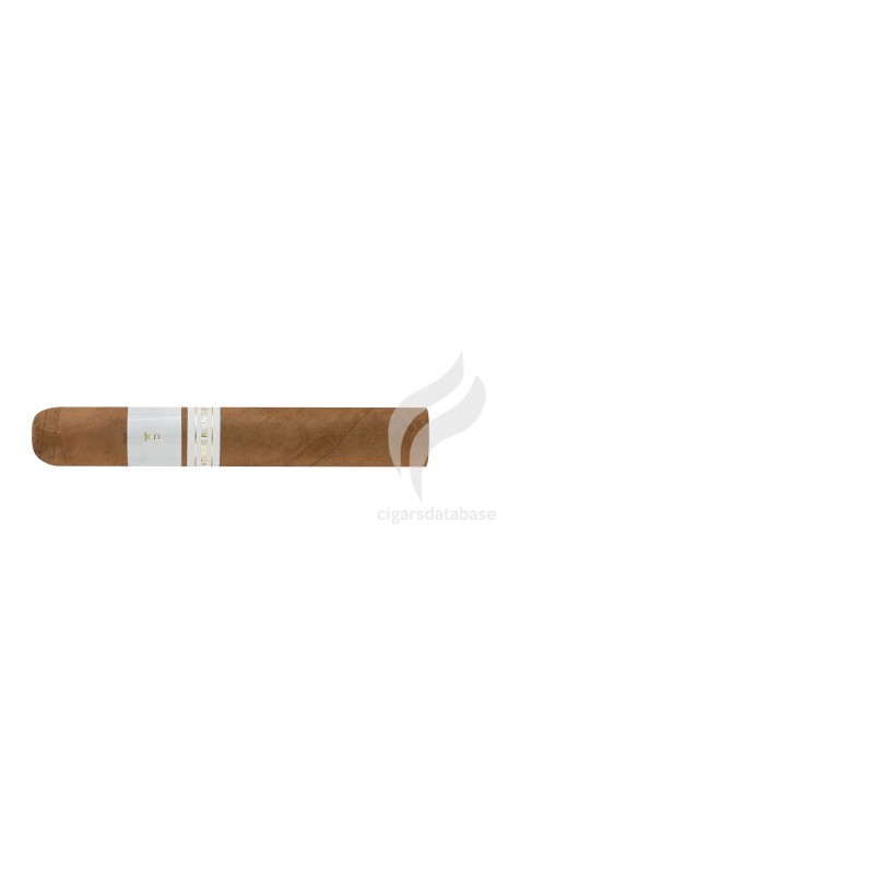 PATORO-TERRE BLANCHE - ROBUSTO-Stick-11011
