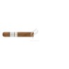 PATORO-TERRE BLANCHE - ROBUSTO-Stick-11011