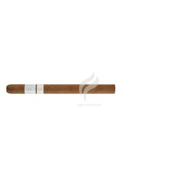 PATORO-TERRE BLANCHE - LANCERO-Stick-11012