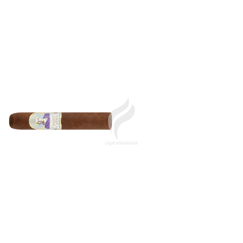 DIAMOND CROWN-JULIUS CAESER - ROBUSTO-Stick-11162