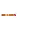 FLOR DE LAS ANTILLAS-BELICOSO-Stick-11172