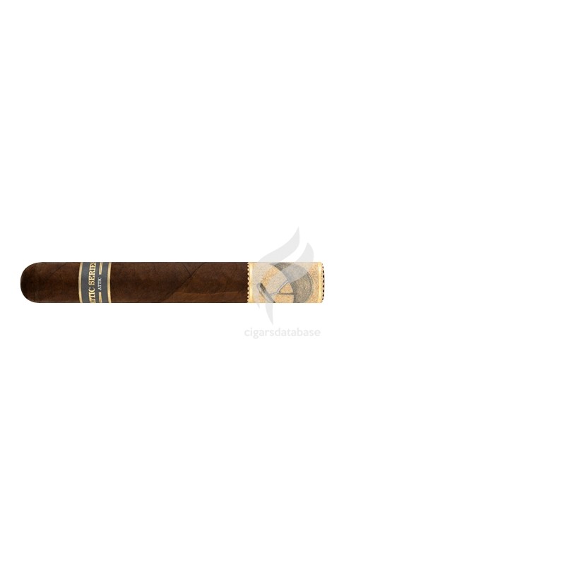 WEST TAMPA-ATTIC SERIES NO.1 - TORO-Stick-11196
