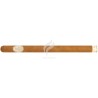 FLOR DE SELVA-EXTREMO-Stick-11278