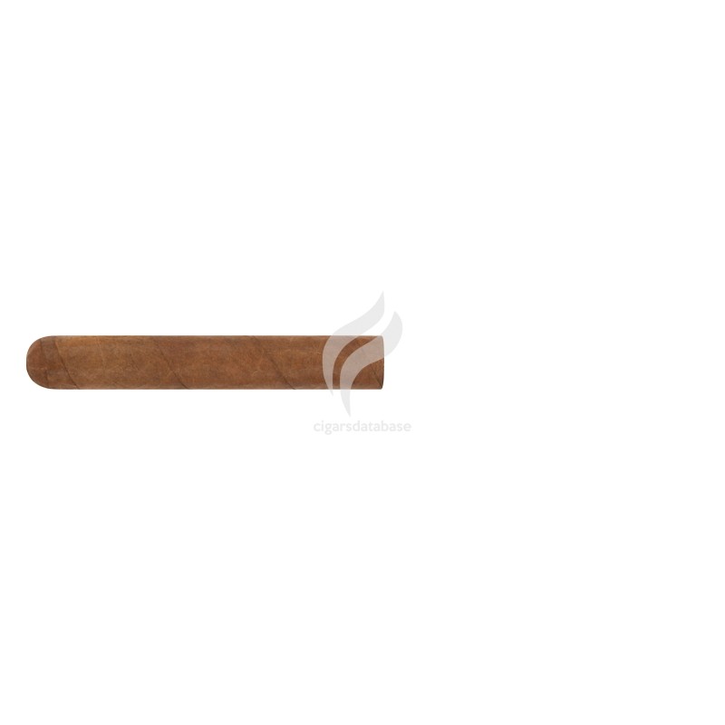 ST JACQUES-DOUBLE ROBUSTO-Accessory-11294