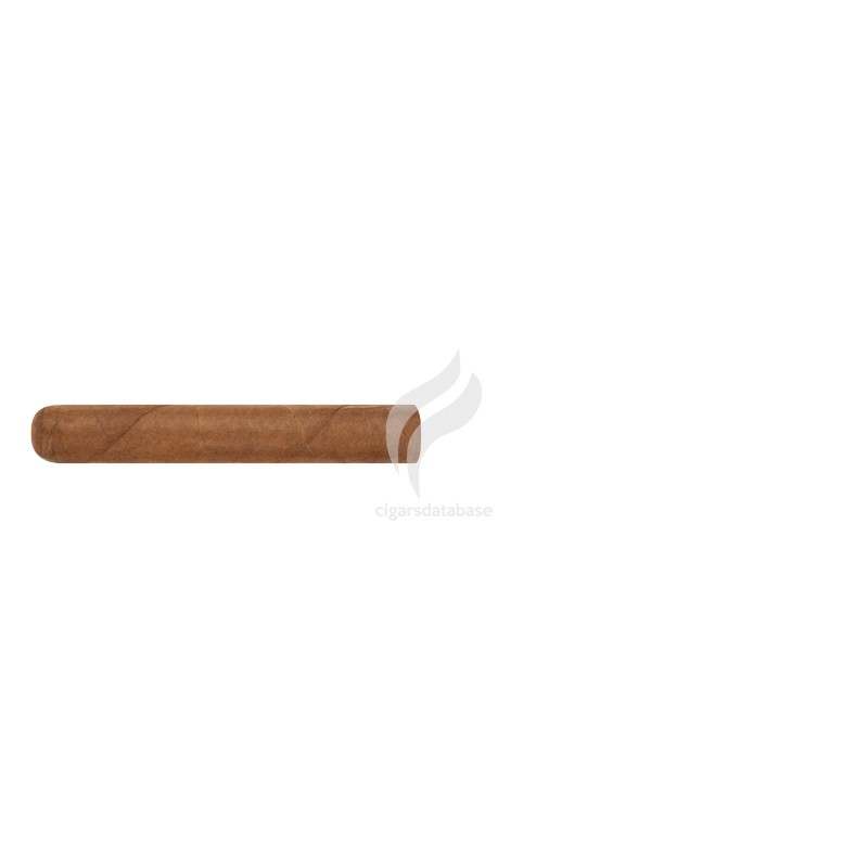ST JACQUES-ROBUSTO-Stick-11297