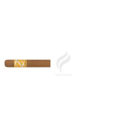 ZINO-NICARAGUA HALF CORONA-Stick-11309