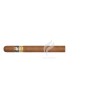 COHIBA-ESPLENDIDOS-Stick-19