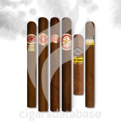 SAMPLER-T SPECIAL XMAS DINER 1 (SET)-Box-11314