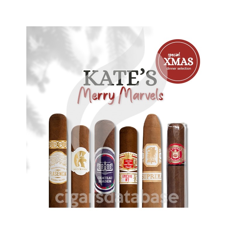 SAMPLER-T SPECIAL XMAS DINER 2 (SET)-Box-11315