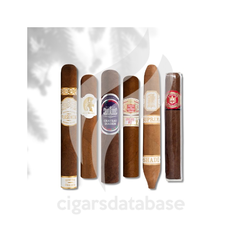 SAMPLER-T SPECIAL XMAS DINER 2 (SET)-Box-11315