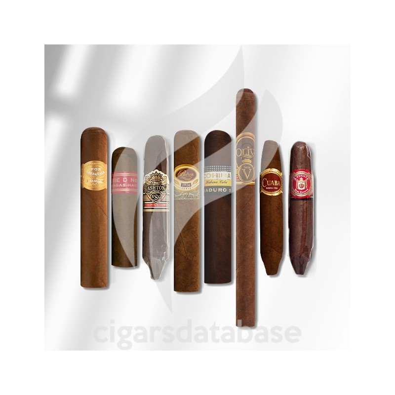 SAMPLER-T 2023 BEST OF CA 1 (SET)-Box-11316