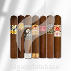 SAMPLER-T 2023 BEST OF CA 2 (SET)-Box-11318