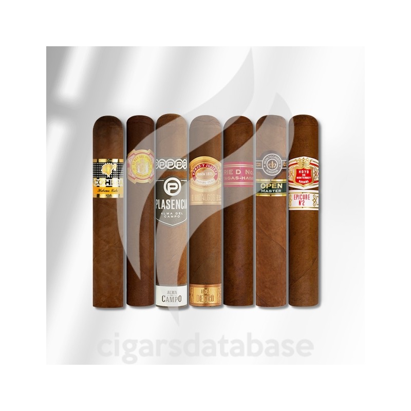 SAMPLER-T 2023 BEST OF CA 2 (SET)-Box-11318